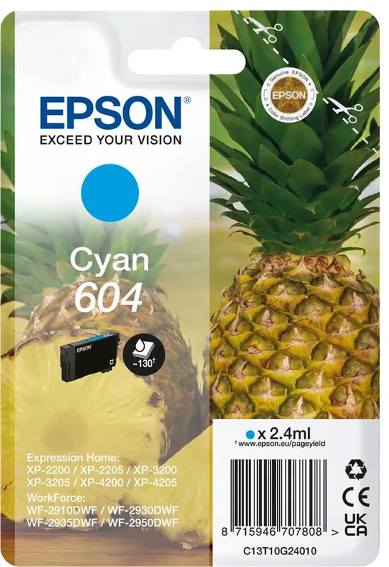 Epson 604