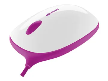 Microsoft Express Mouse