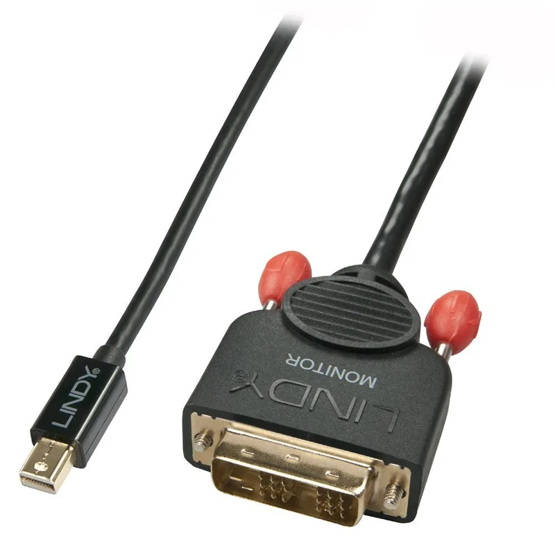 Lindy Mini DisplayPort till DVI-D-kabel 1 m svart