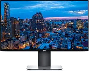 DELL P2419H 61 cm (24 tum) monitor