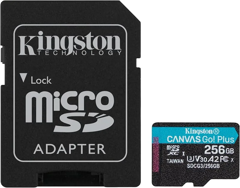 Kingston Canvas Go! Plus Gen4 256 GB