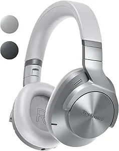 Technics EAH-A800E-S Hörlurar