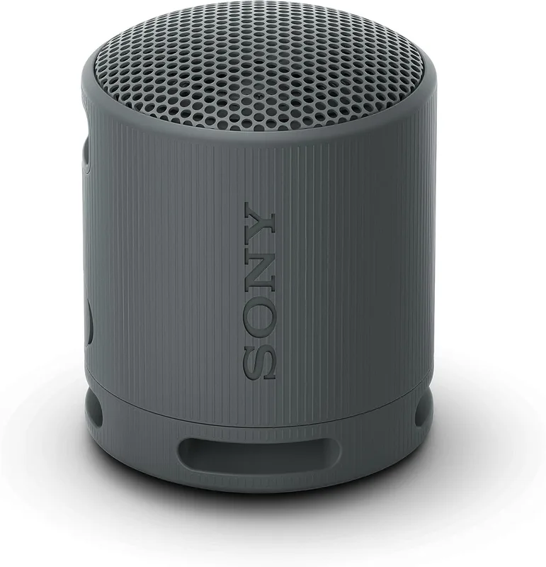 Sony SRS-XB100