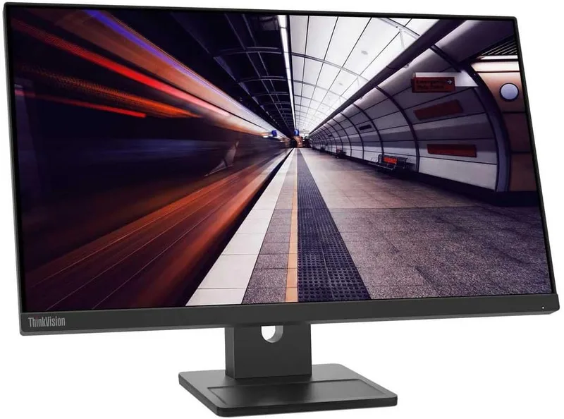 Lenovo ThinkVision E24-30 skaerm