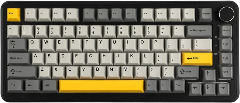 MechLands AJAZZ AK820 MAX HE Hall-effekt speltangentbord