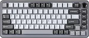 YUNZII B75 Mekaniskt Tangentbord,75% Hot Bytbart Tangentbord