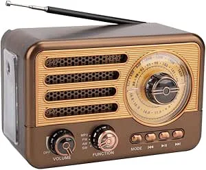 Booso Bärbar Retro Radio Vintage Bluetooth-Högtalare FM/AM-Radiomottagare