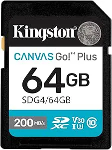 Kingston Canvas Go! Plus Gen4 64 GB