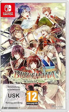 Birushana: Winds of Fate (Nintendo Switch)