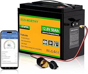 ECO-WORTHY LiFePO4 batteri 12 V 50 Ah Bluetooth
