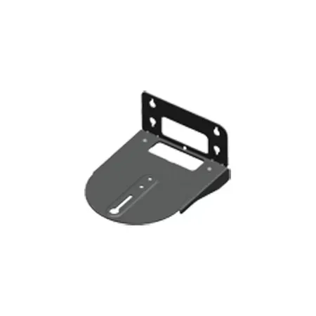 SVC & PTC camera Wall Mount