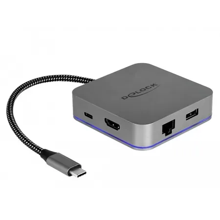 Delock USB Type-C Docking Station