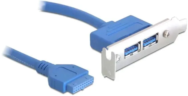 Delock Slot bracket - USB-panel