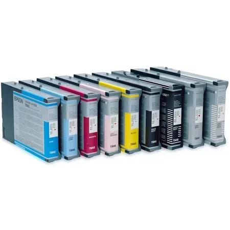 Epson T6025