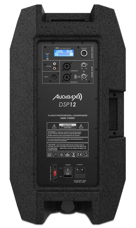 Audibax DSP12