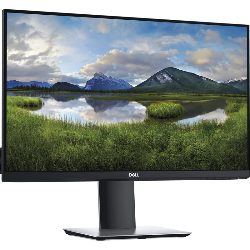 DELL DELL-P2419HC Computer mon