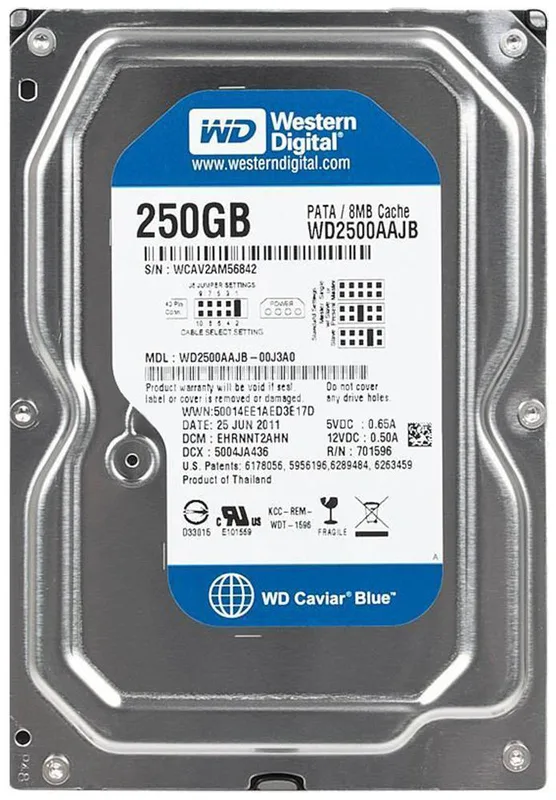 Western Digital Kaviar SE 250 GB 3,5 tums hårddisk