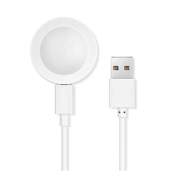 Smart Pro Laddare Snabbladdning Magnetiskt Gränssnitt för Pro Watch