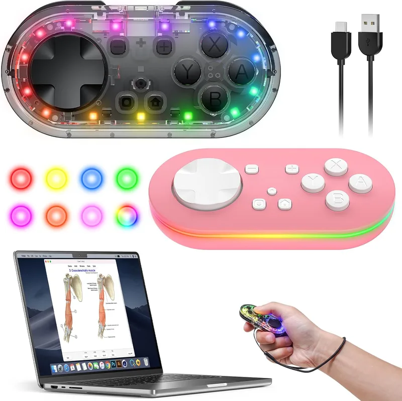 Controller för Anki App Gamepad