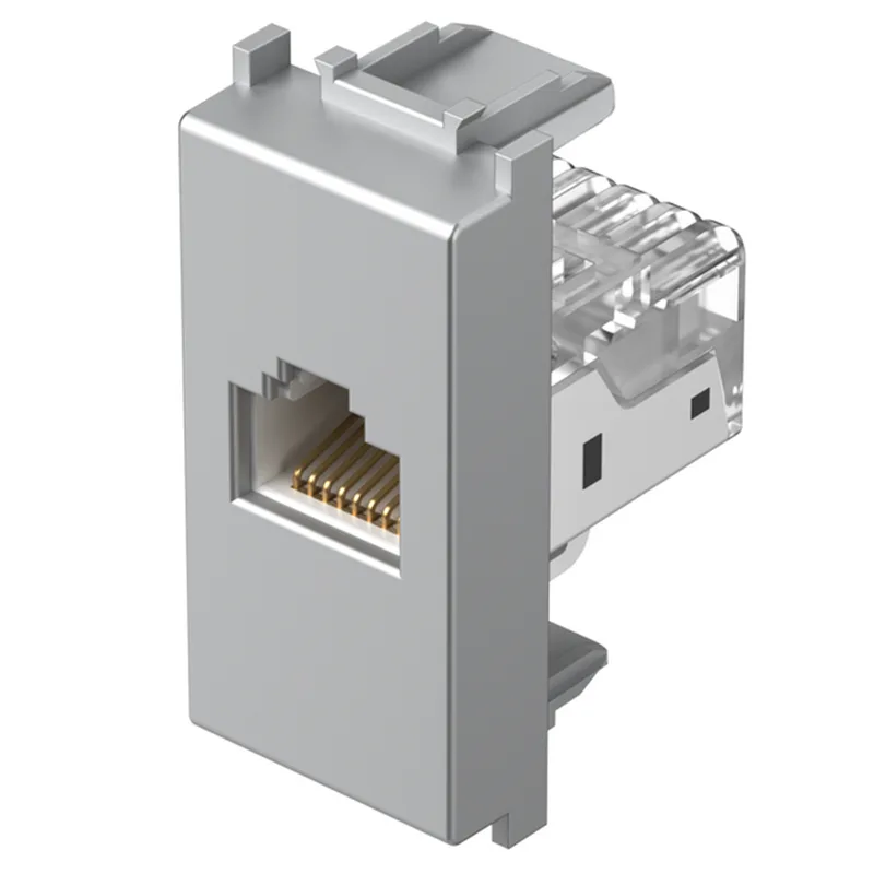 S210 RJ45 Door Silver